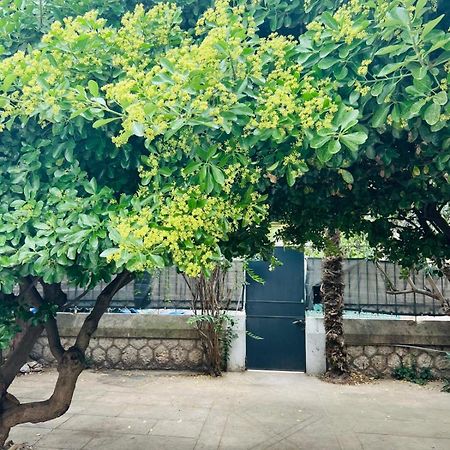 Maison 23 Coursan Экстерьер фото